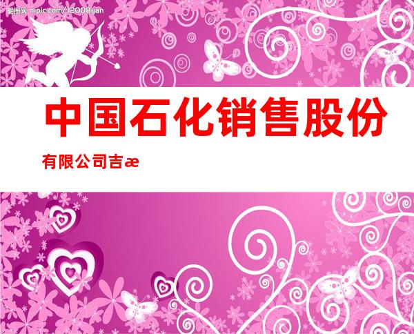 中国石化销售股份有限公司吉林松原石油分公司新城加油站
